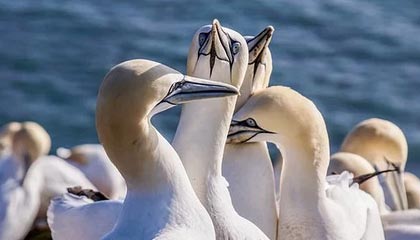 华体会hthapp下载入口-中国篮球青少年训练营体系构建与评价，青少年篮球训练中心简介