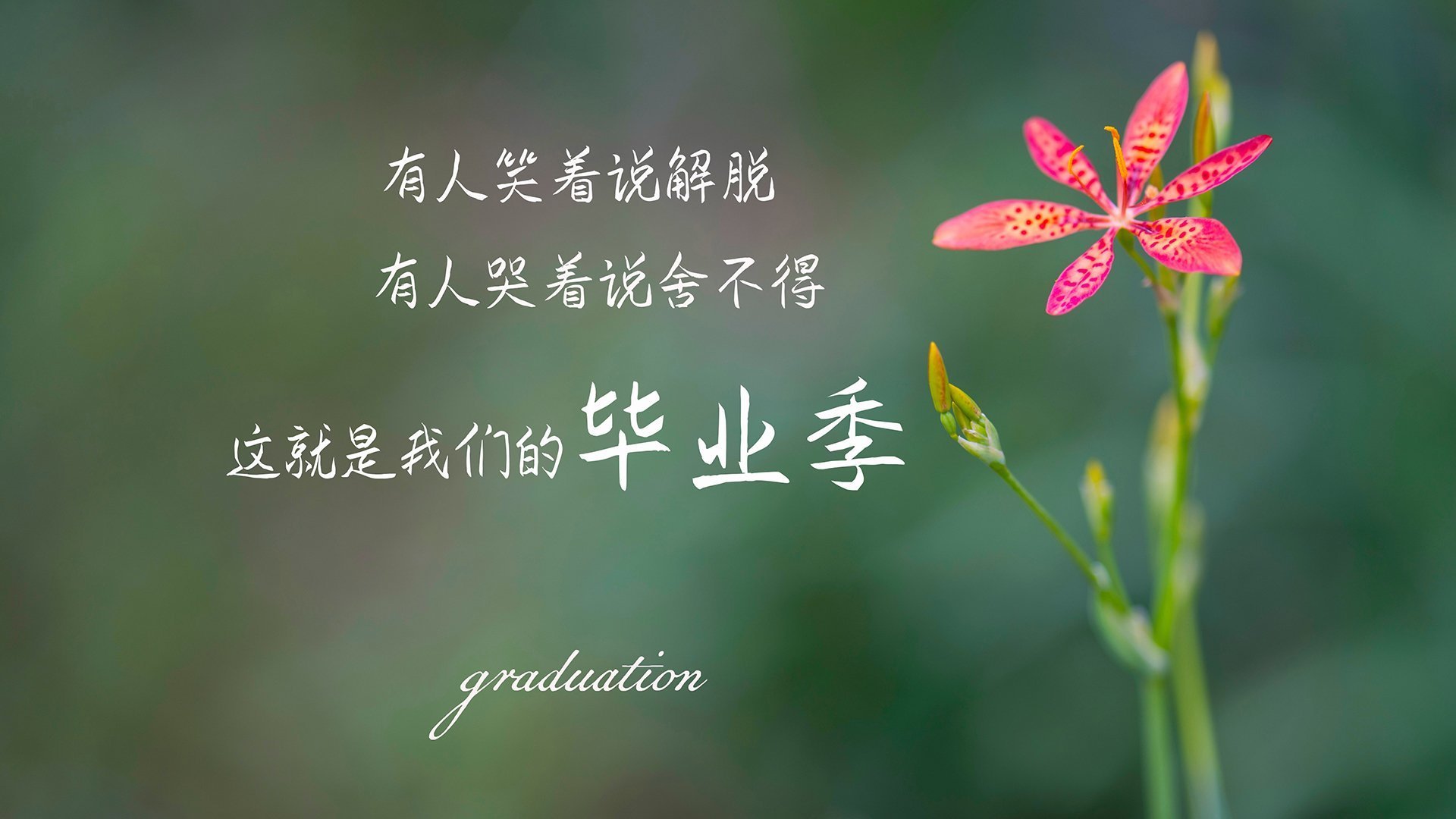 《电竞冠军背后的团队支撑：幕后英雄谁与争锋？》，电竞职业选手冠军