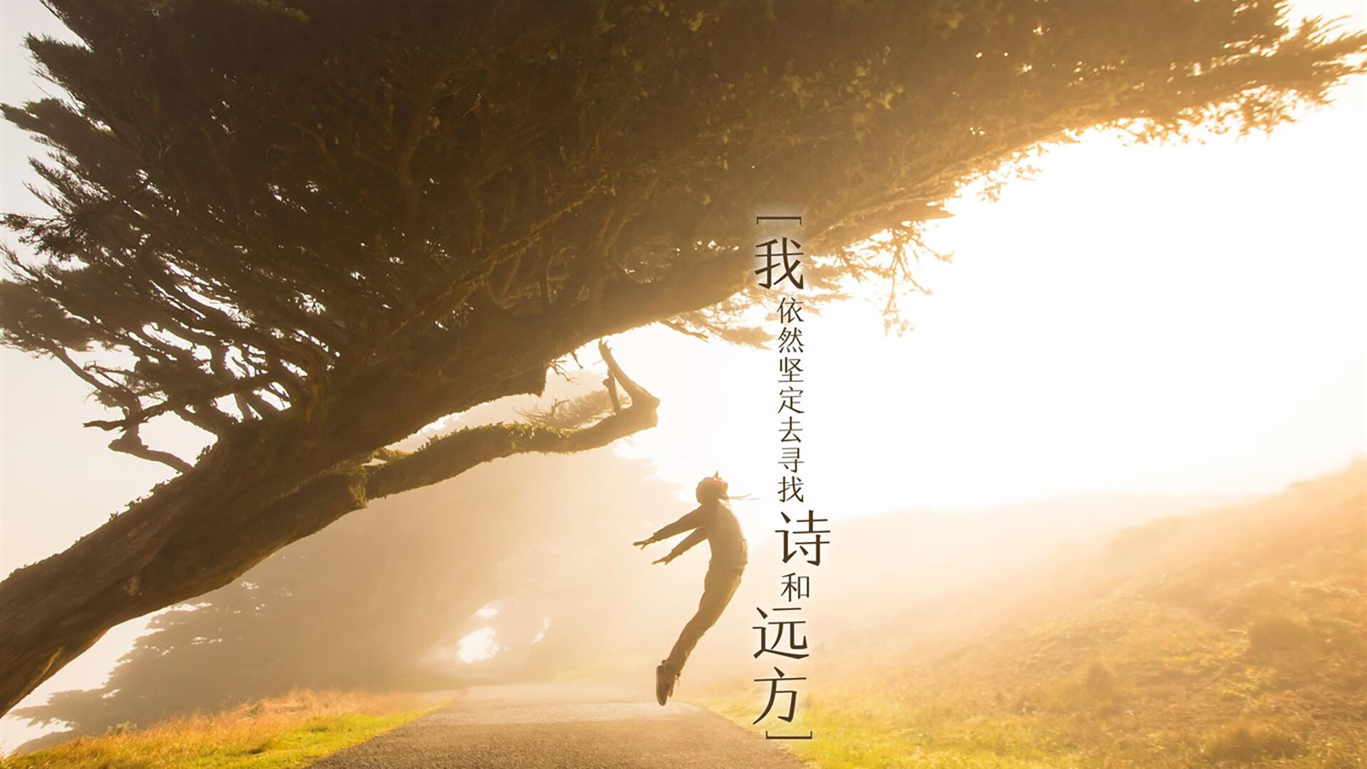 惊天逆转！王强末节连续三分，带队实现大逆袭！，王强去哪了