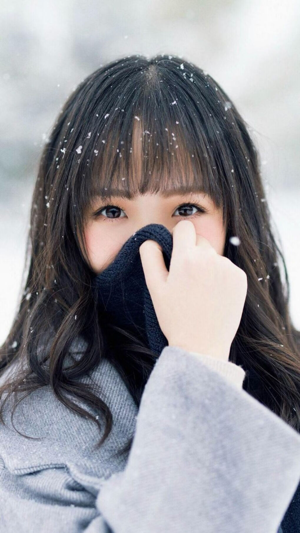 掘金连胜延续至11场，战术执行力被称教科书级，掘金队最新交易信息