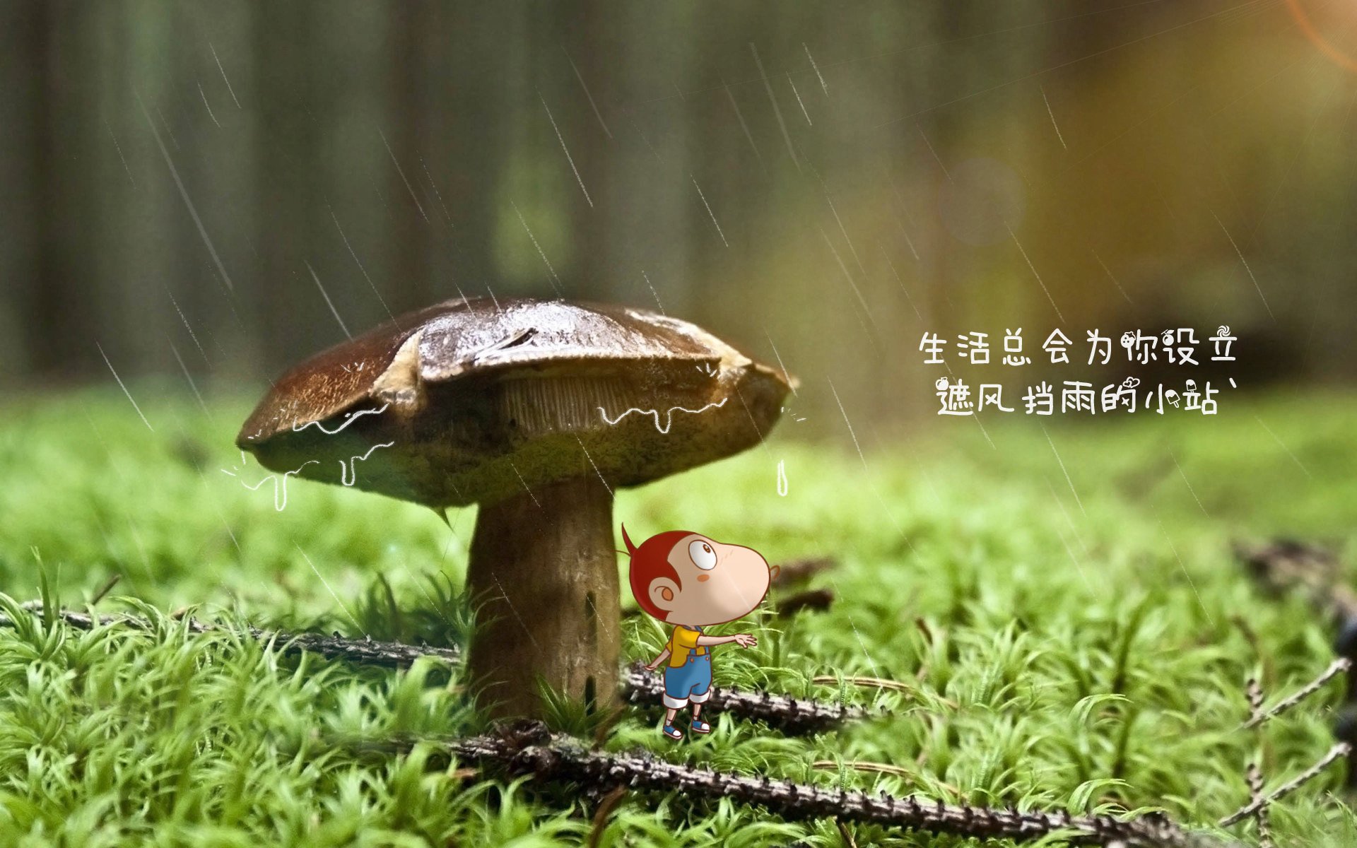 热刺门将下课传闻再起，球迷担忧，热刺门将球衣