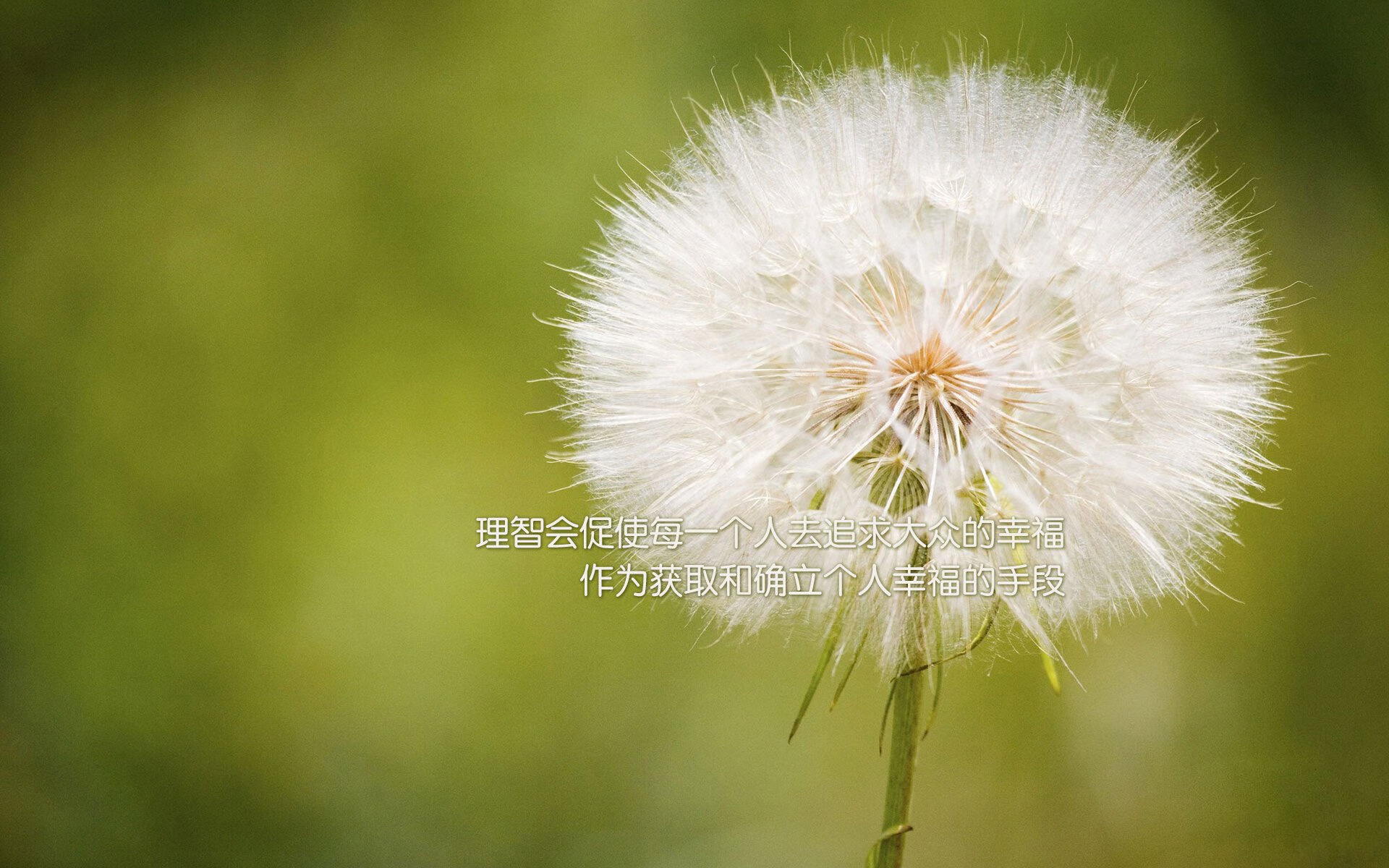 年度十佳球：谁的哪颗射门最震撼人心？，10佳球
