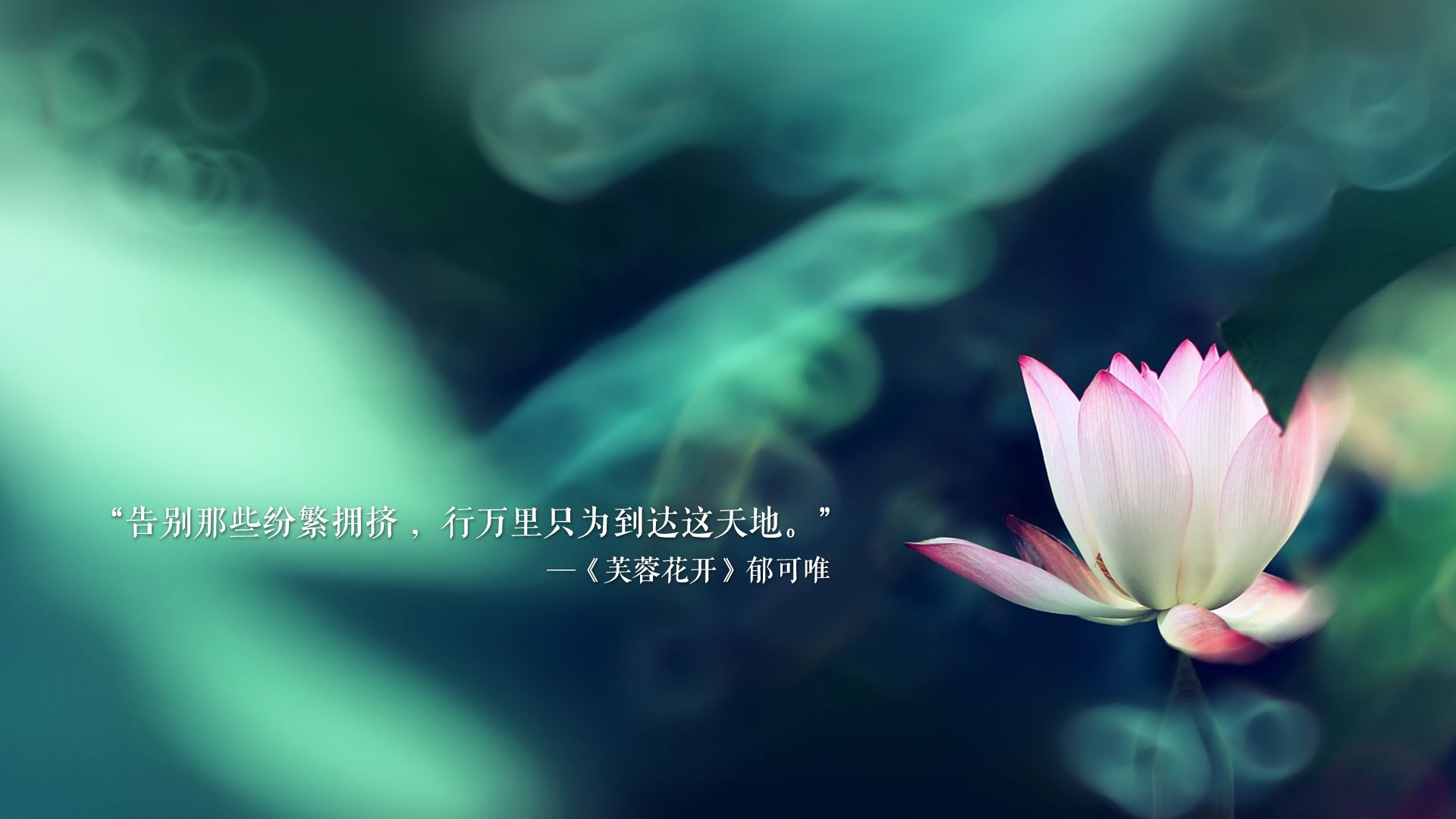 篮球运动员竞技状态实时监控系统设计与应用，篮球比赛摄像