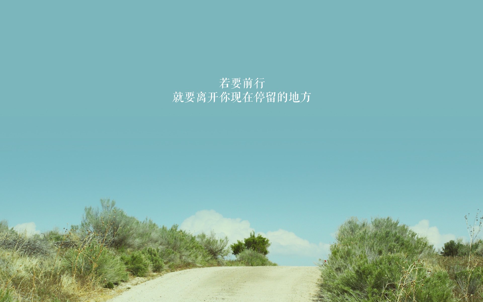 世界杯惊天逆转：奇迹瞬间点燃全场！，世界杯的惊喜