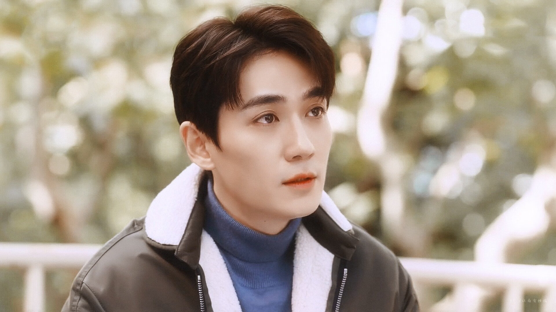 澳洲队突破极限刷新个人及赛会纪录,澳洲联赛球队