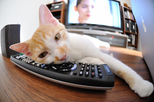 热火继续重视比赛细节减少末节崩盘，热火对队员