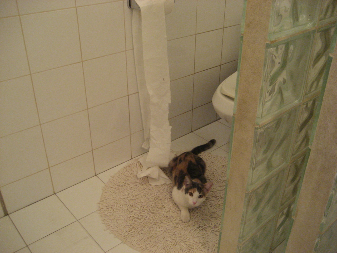 荷兰男篮在欧洲预选赛中奋勇争先，未来可期