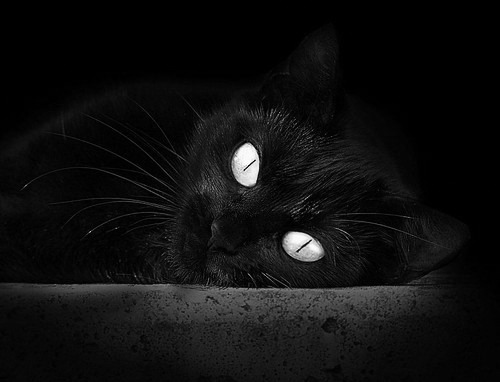 詹姆斯发布个人纪录片幕后花絮，詹姆斯生涯最新纪录片三部曲