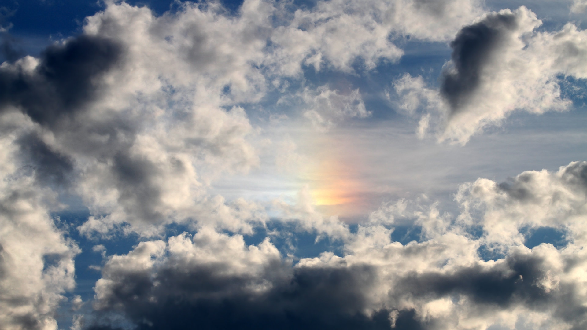 华体会hth娱乐平台-青训人才逐步崭露头角国家队选材更趋多元化，中国青训人才